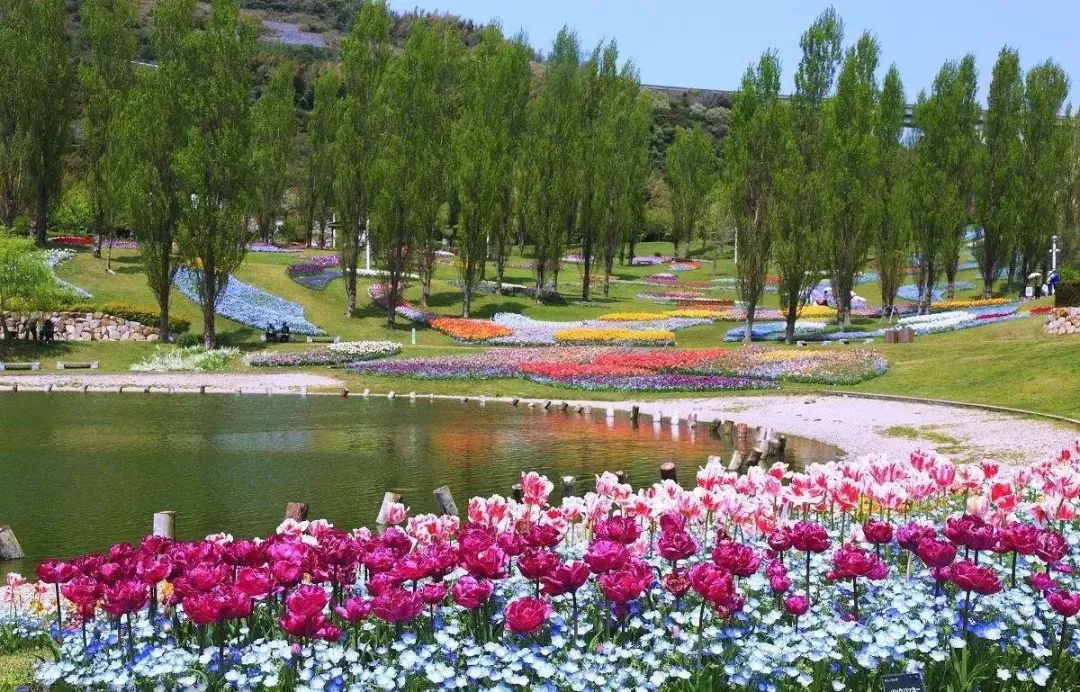 1649297620179382.jpg 4.jpg